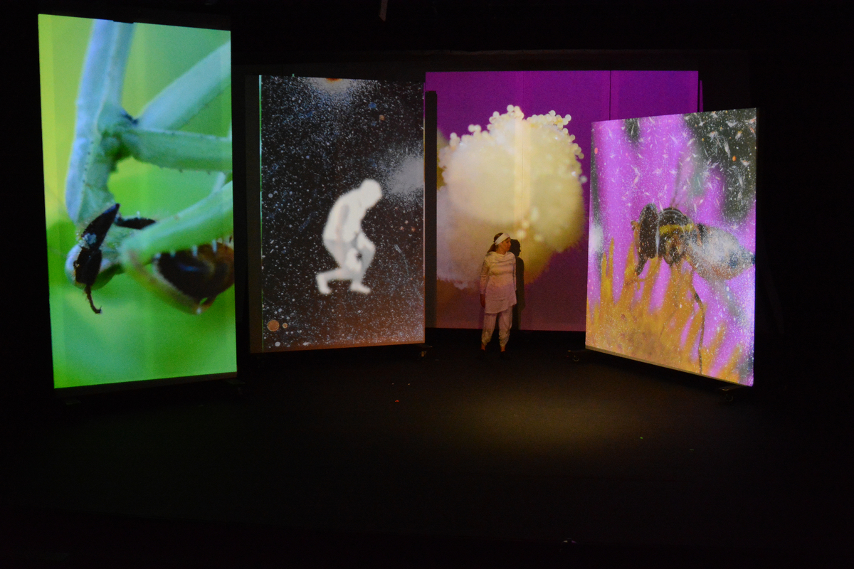 Projection desgin by Cherie Sampson for 