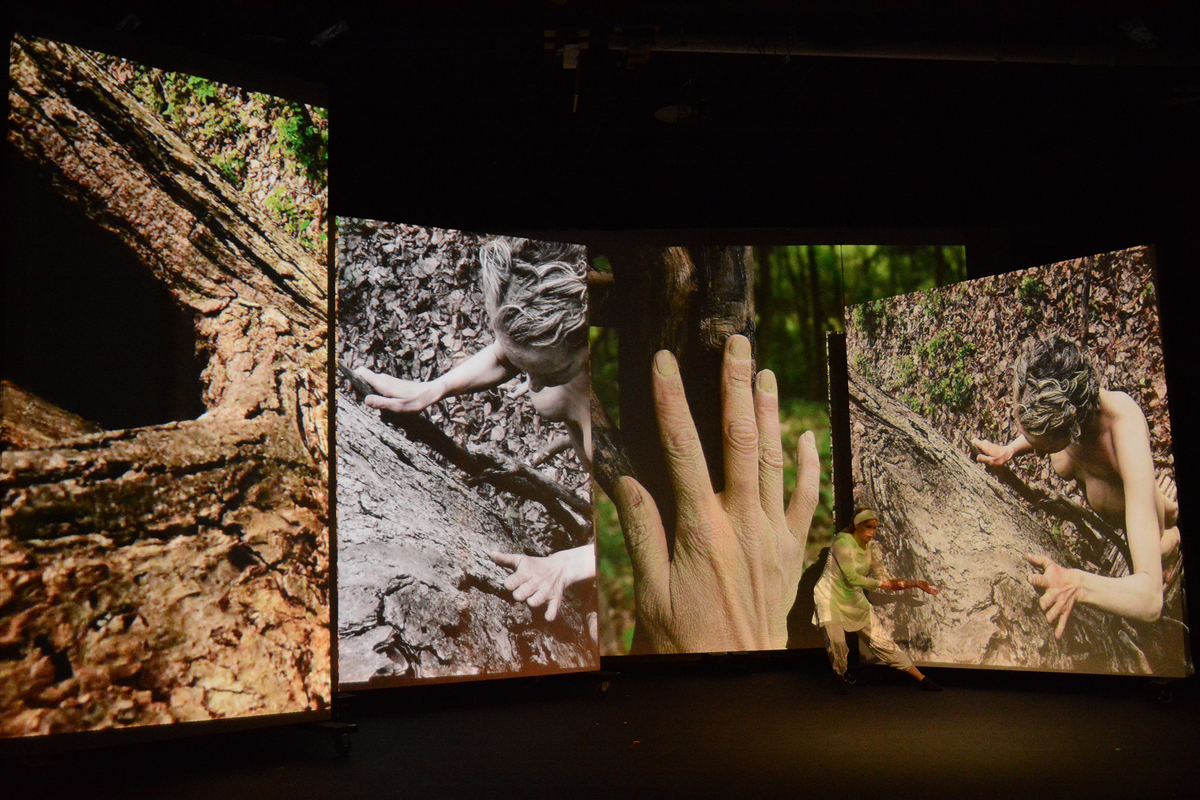 Projection desgin by Cherie Sampson for 